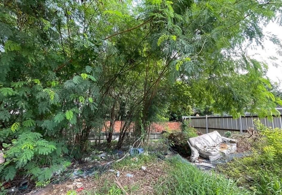 For SaleLandBangna, Bearing, Lasalle : 📢👇ที่ดิน แปลงสวย เดินทางสะดวก เหมาะสำหรับ สร้างบ้านเดี่ยว ทาวน์โฮม อพาร์ทเม้นท์ หรือ อื่นๆ