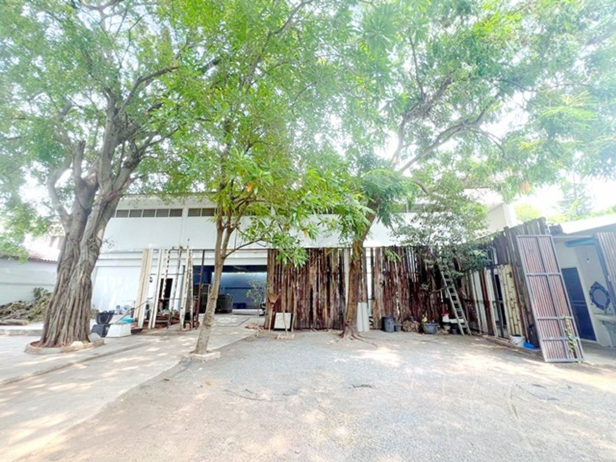 For RentHouseNana, North Nana,Sukhumvit13, Soi Nana : Soi Sukhumvit 47-51 Building 2, Floor 1 Rai 35 sq.w. Thonglor 21-25MRT M.D., 1.6 km. Rent-Land for sale with Ekamai Market 1 km. 1,725 ​​sq.m.