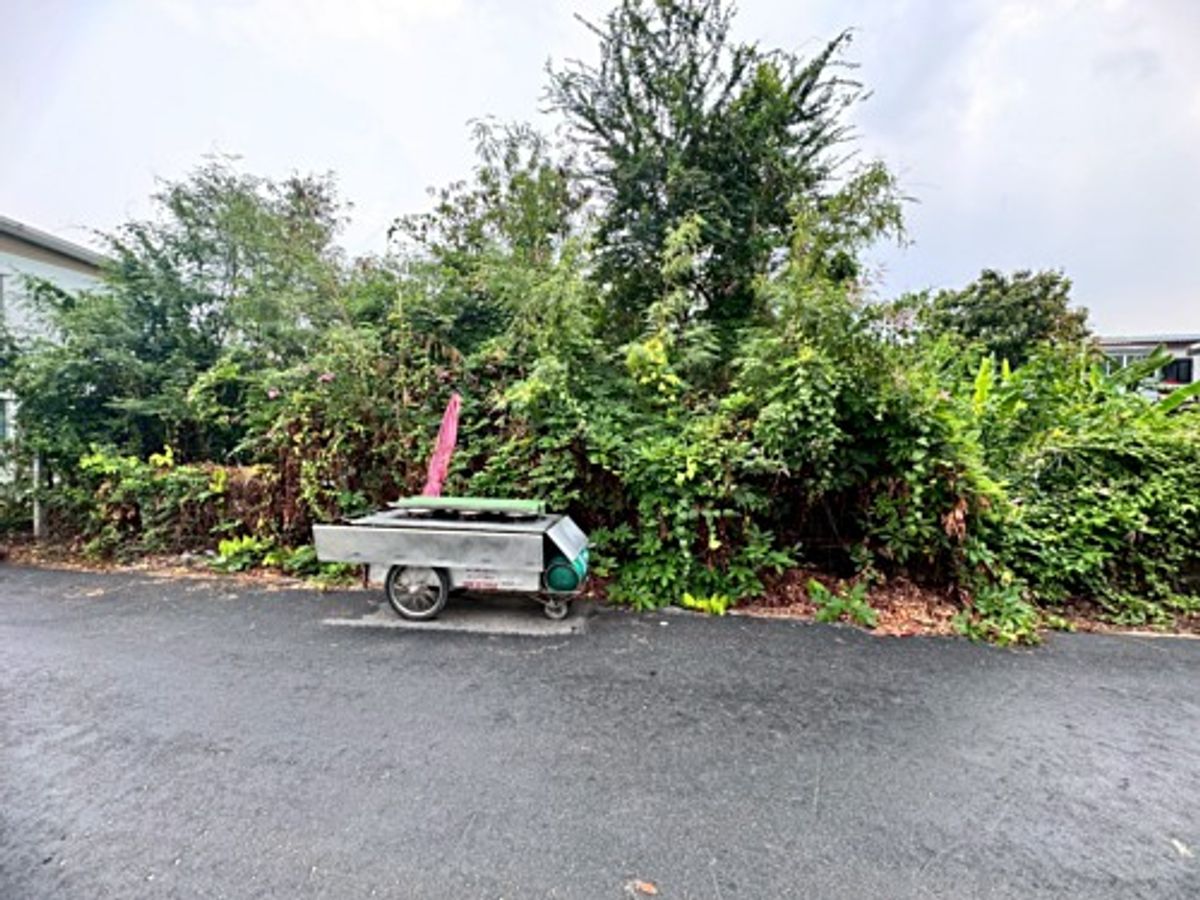 ขายที่ดินนวมินทร์ รามอินทรา : ขายที่ดินเปล่า รามอินทรา 14 แยก 5 (ซอยมัยลาภ) ทำเลดี ใกล้รถไฟฟ้าสายสีชมพู (N.1655)