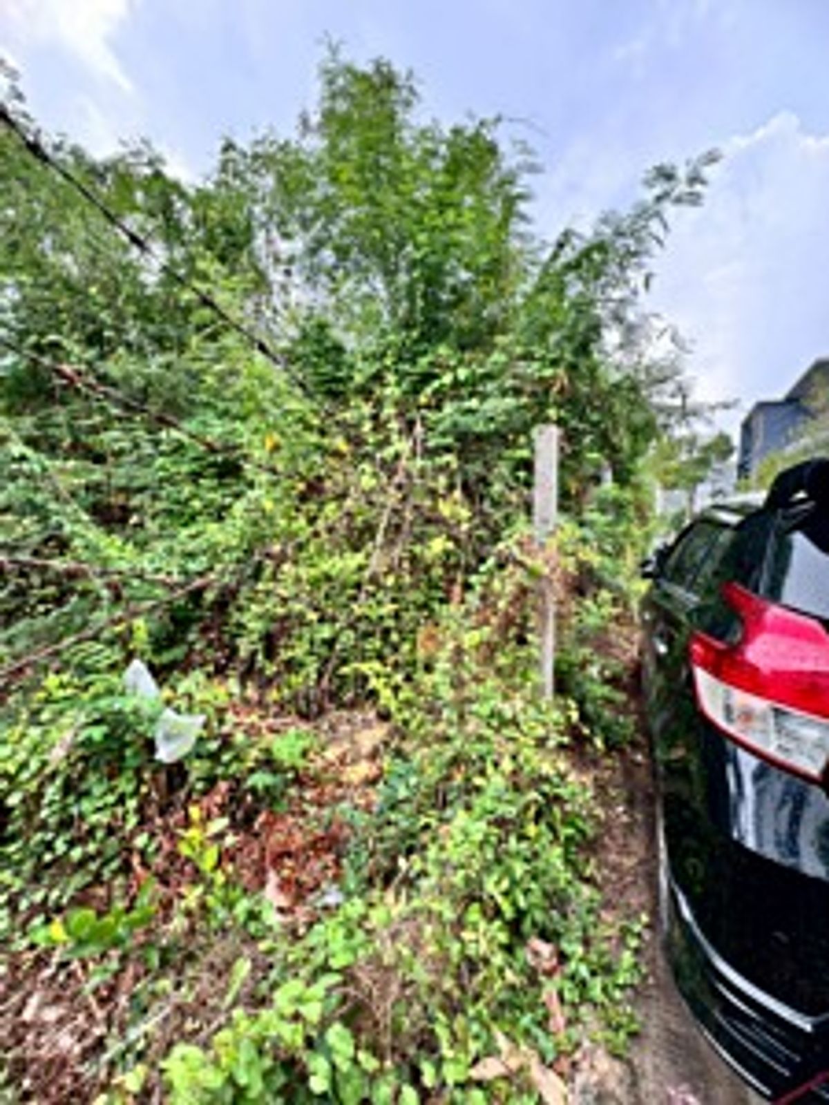 ขายที่ดินนวมินทร์ รามอินทรา : ขายที่ดินเปล่า รามอินทรา 14 แยก 5 (ซอยมัยลาภ) ทำเลดี ใกล้รถไฟฟ้าสายสีชมพู (N.1655)