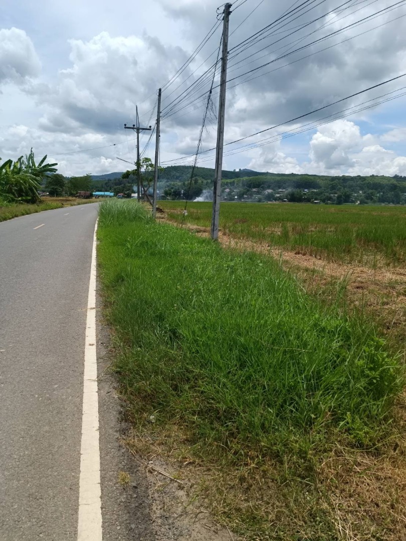 ขายที่ดินเชียงราย : ขายด่วนที่ดินโฉนดครุฑแดงราคาพิเศษ  === ที่ดินงามพื้นที่กว้าง อำเภอ เวียงป่าเป้า จังหวัด เชียงราย