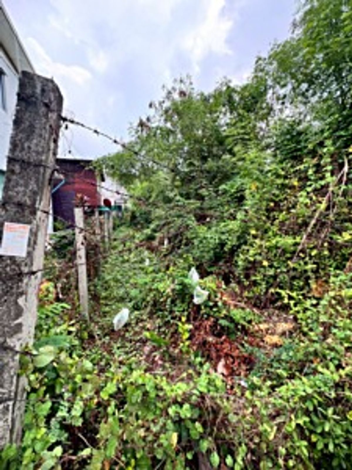 ขายที่ดินนวมินทร์ รามอินทรา : ขายที่ดินเปล่า รามอินทรา 14 แยก 5 (ซอยมัยลาภ) ทำเลดี ใกล้รถไฟฟ้าสายสีชมพู (N.1655)