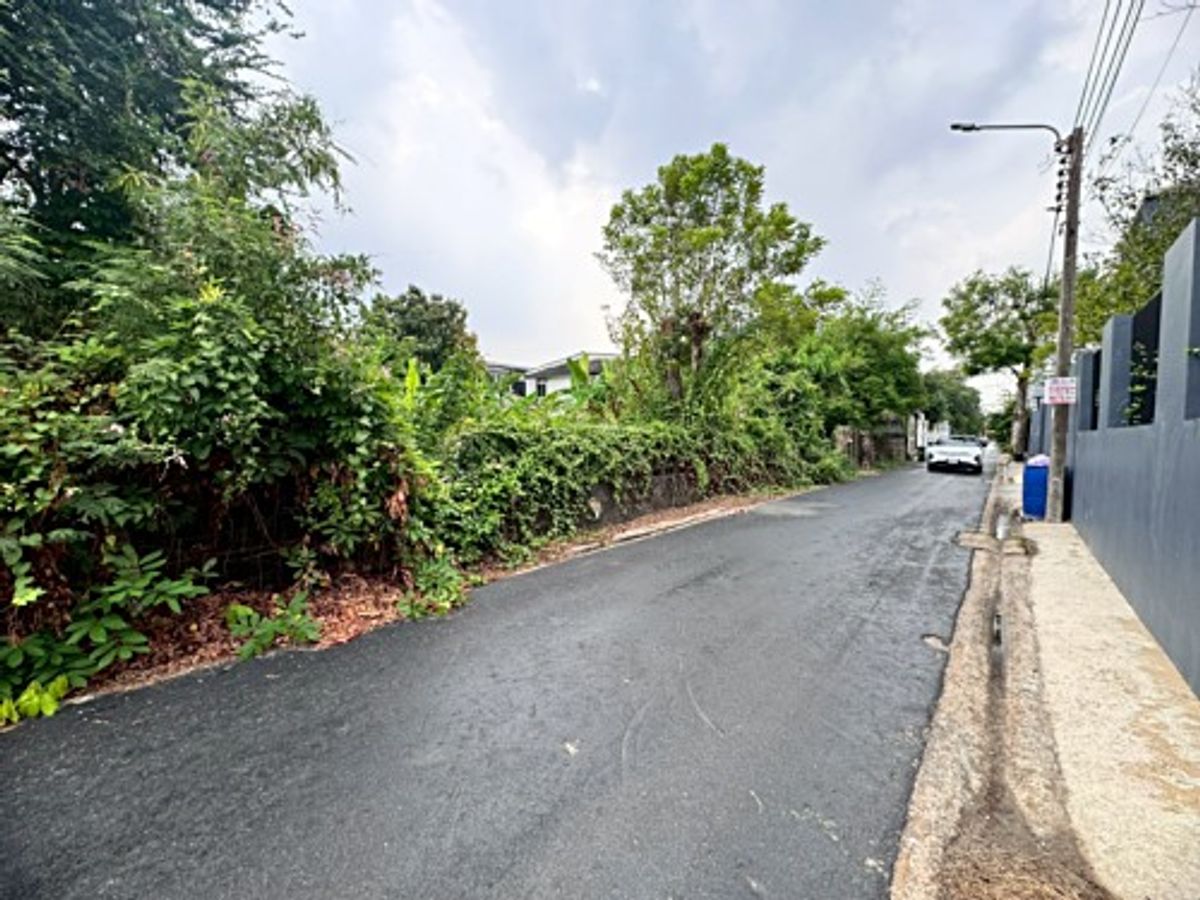 ขายที่ดินนวมินทร์ รามอินทรา : ขายที่ดินเปล่า รามอินทรา 14 แยก 5 (ซอยมัยลาภ) ทำเลดี ใกล้รถไฟฟ้าสายสีชมพู (N.1655)