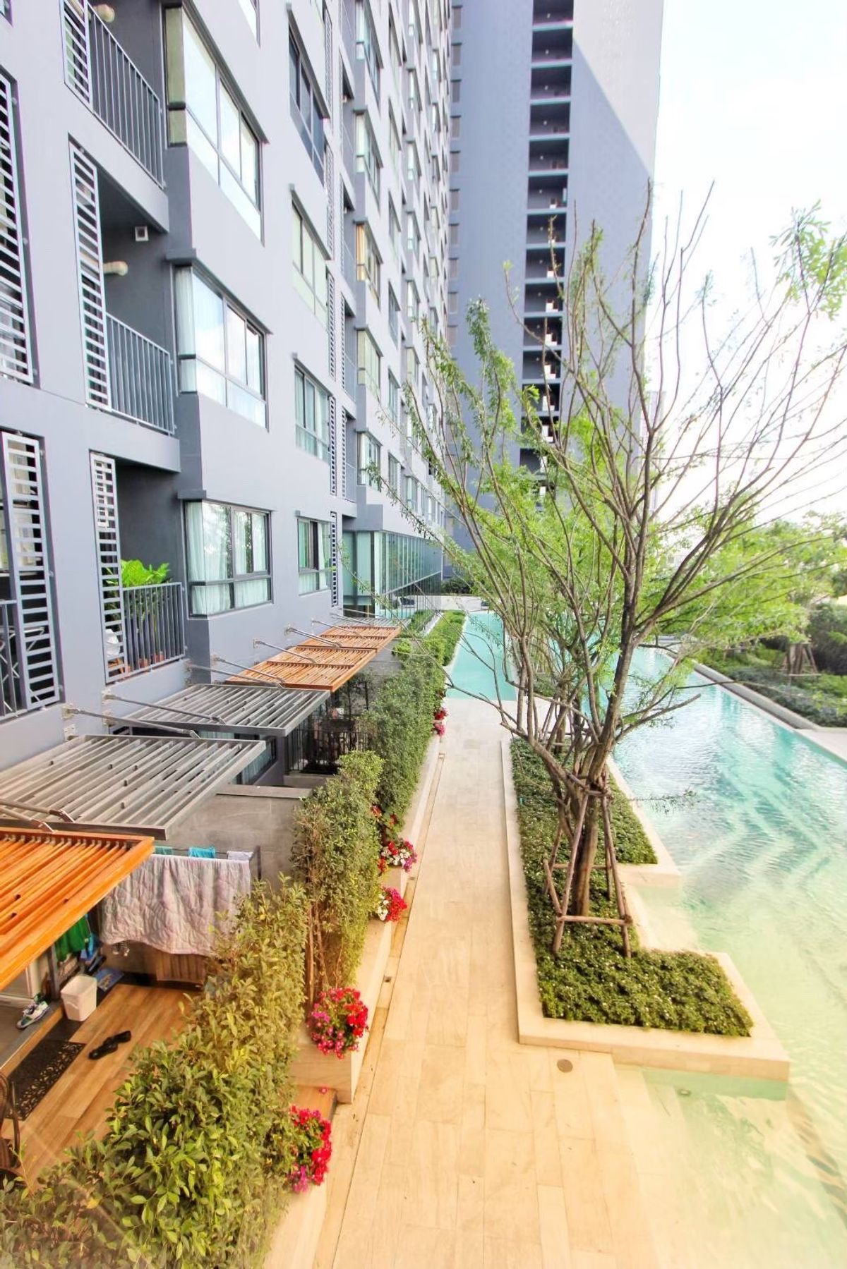 For RentCondoOnnut, Udomsuk : 🔥For urgent rent🔥Ideo Sukhumvit 93, pool view, 1 bedroom, ready to move in, convenient transportation, next to the BTS