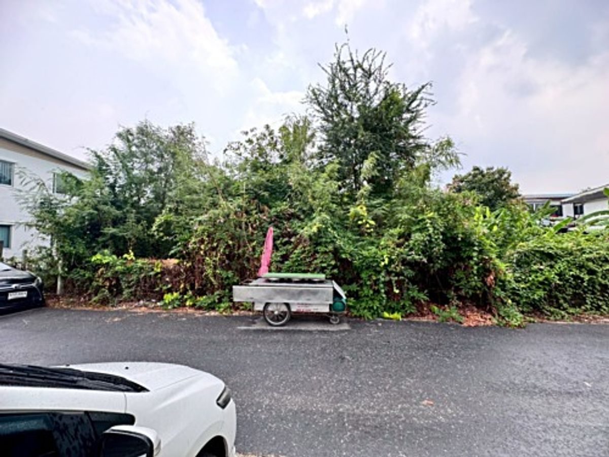 ขายที่ดินนวมินทร์ รามอินทรา : ขายที่ดินเปล่า รามอินทรา 14 แยก 5 (ซอยมัยลาภ) ทำเลดี ใกล้รถไฟฟ้าสายสีชมพู (N.1655)