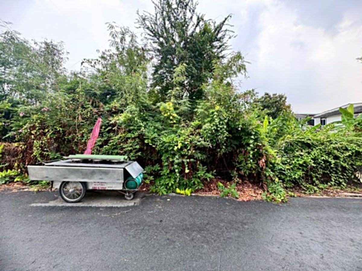 ขายที่ดินนวมินทร์ รามอินทรา : ขายที่ดินเปล่า รามอินทรา 14 แยก 5 (ซอยมัยลาภ) ทำเลดี ใกล้รถไฟฟ้าสายสีชมพู (N.1655)