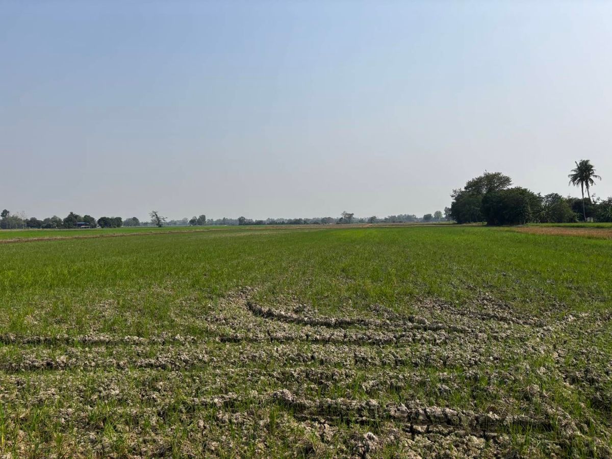 For SaleLandPhitsanulok : Selling very cheap !! 40-3-4 rai of land on the road with canals, ditches and well-known ponds, good agriculture, Phrom Phiram District, Phitsanulok Province