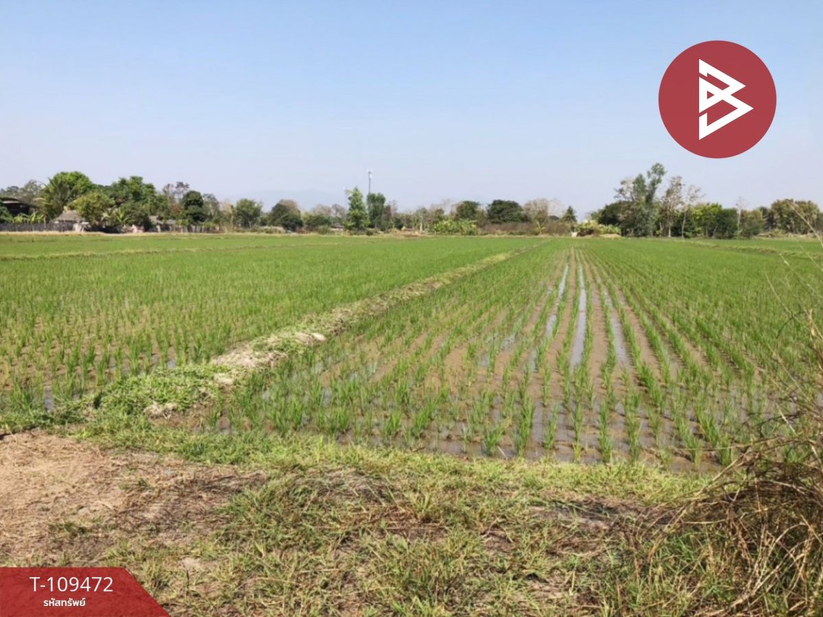 For SaleLandChiang Rai : Beautiful plot of land for 4 rai 1 ngan 18.3 square wah, Ban Farm Rim Kok, Chiang Rai