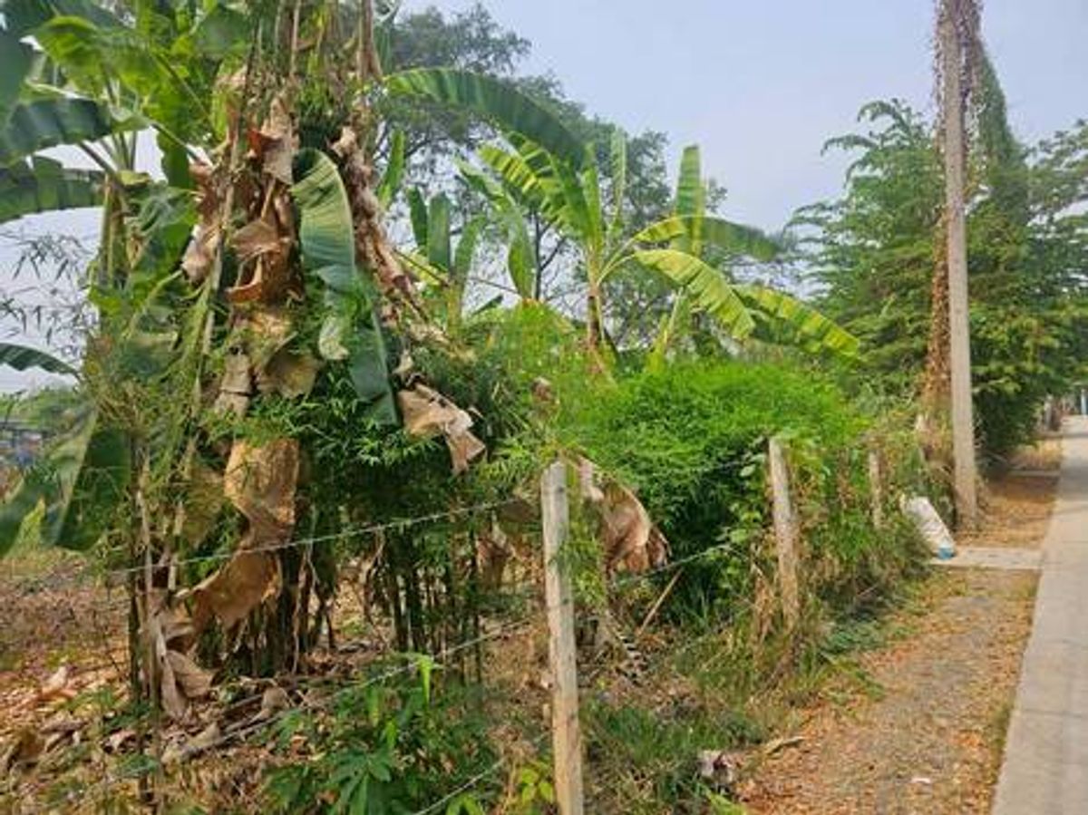 For SaleLandChiang Mai : Land plots for sale in Soi Sao Hin 16, ranging from 60 to 103 sq.wah, located near Chiang Mai International Airport.