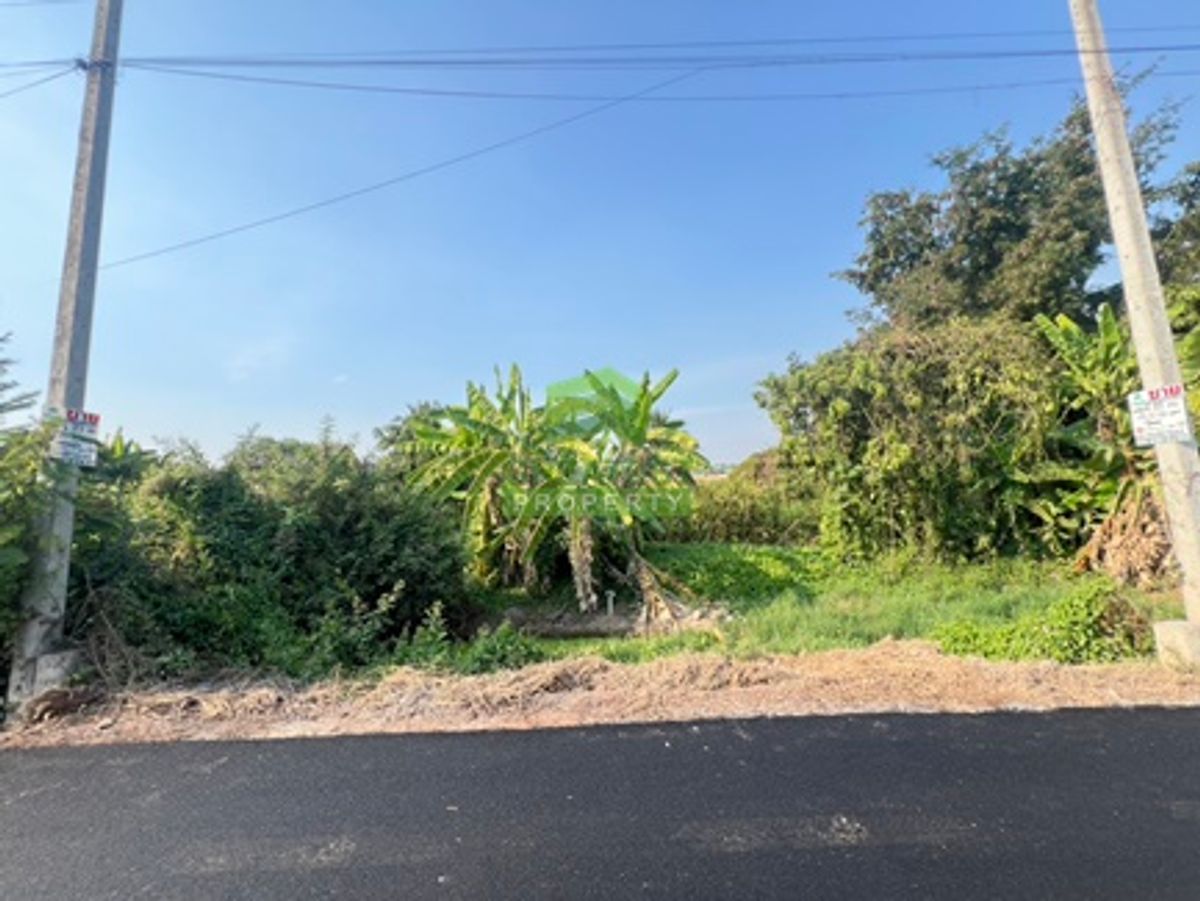 For SaleLandNakhon Pathom : Land for sale Salaya Carden Project 29, area 89.60 sq.w., good location on the road, suitable for living