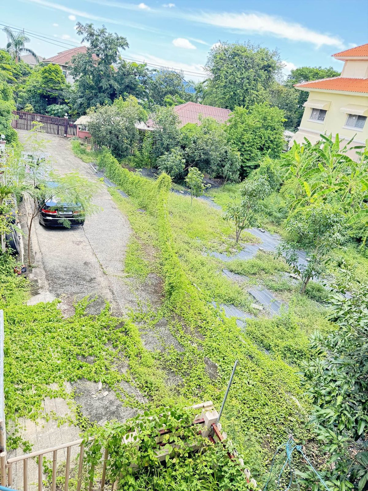 For SaleLandPinklao, Charansanitwong : Land for sale, 2 plots, 165.7 sq.w. Suan Phak 43 Soi Asawapichet 10