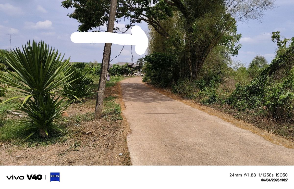 ขายที่ดินปราจีนบุรี : ขายด่วนที่ดินเปล่า350,000ต่อไร่ 39 ไร่เศษ