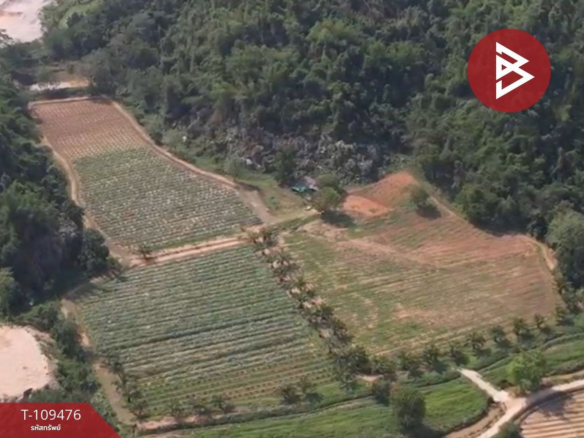 For SaleLandChiang Rai : Land for sale in an area of ​​21 rai 1 ngan 17 square wah, Mae Chan District, Chiang Rai, behind Chui Fong Tea Plantation