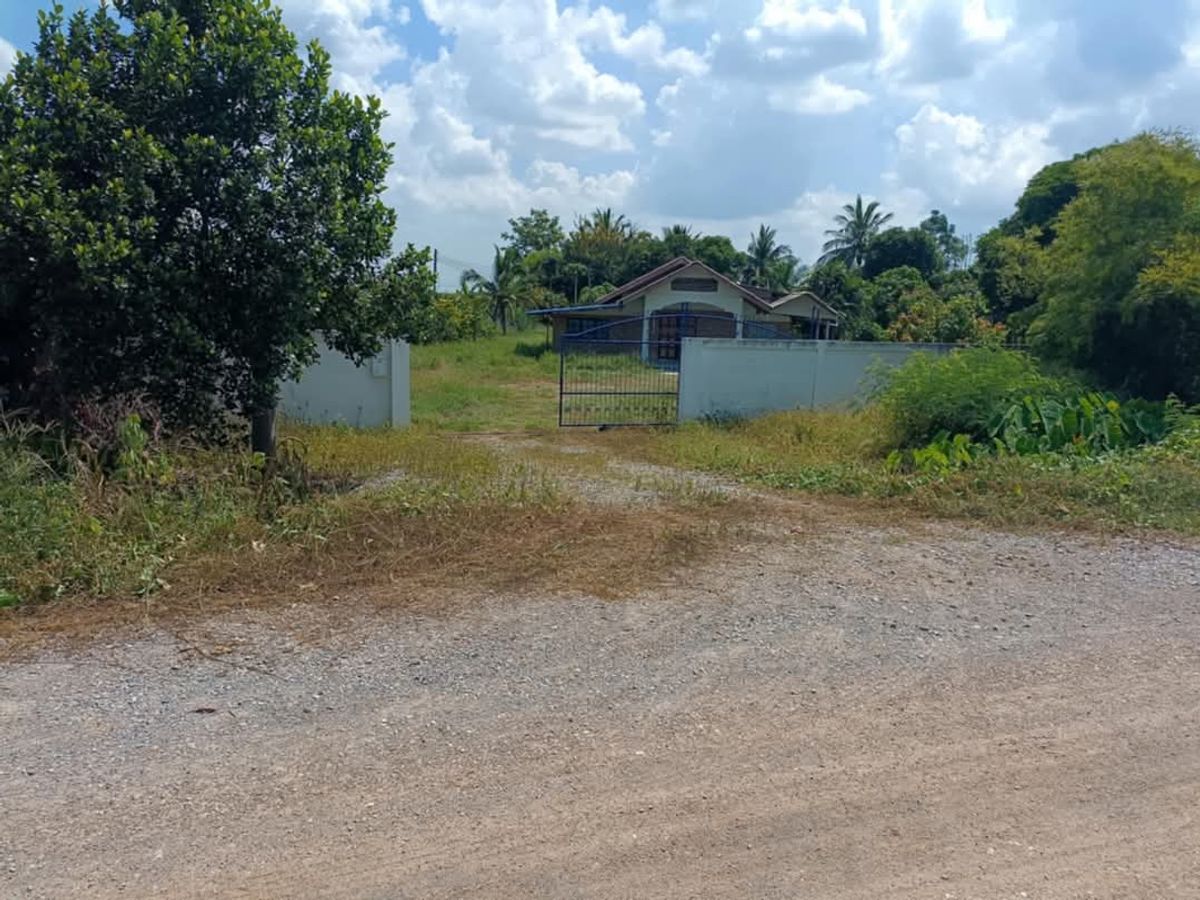 For SaleHouseSuphan Buri : Land for sale with home. 🏡 Type of property: land with an area of ​​1 rai 1 ngan 87 tables. Location: Nong Bo Subdistrict, Song Phi Nong District, Suphan Buri Province