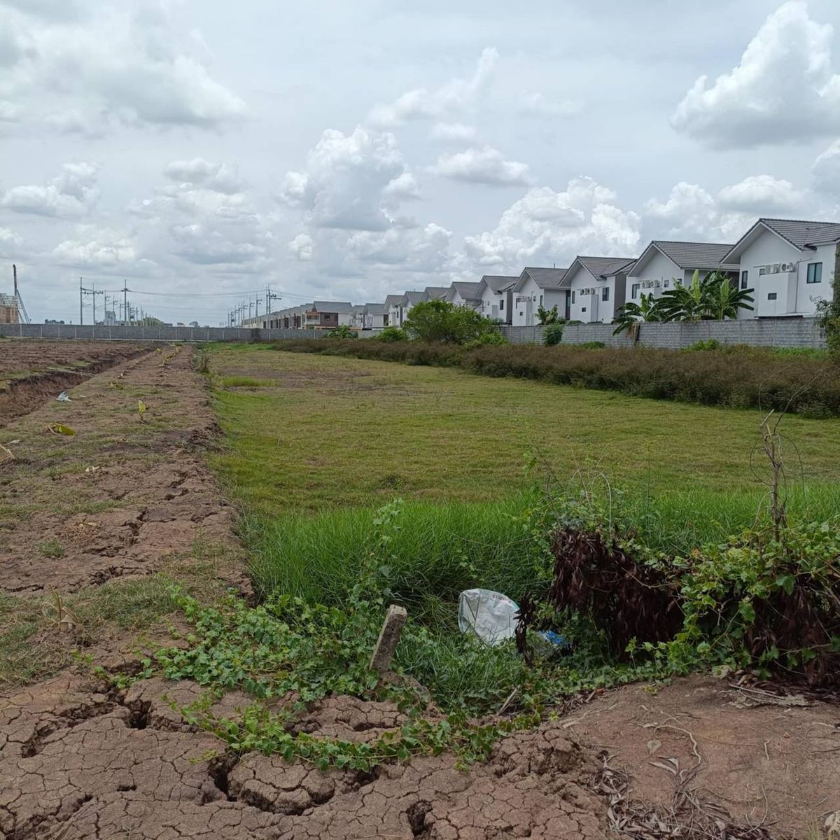 For SaleLandPathum Thani,Rangsit, Thammasat : Land for sale, size 158 sq. Wah, Khlong Song, Khlong Luang, Pathum Thani, next to The Dus