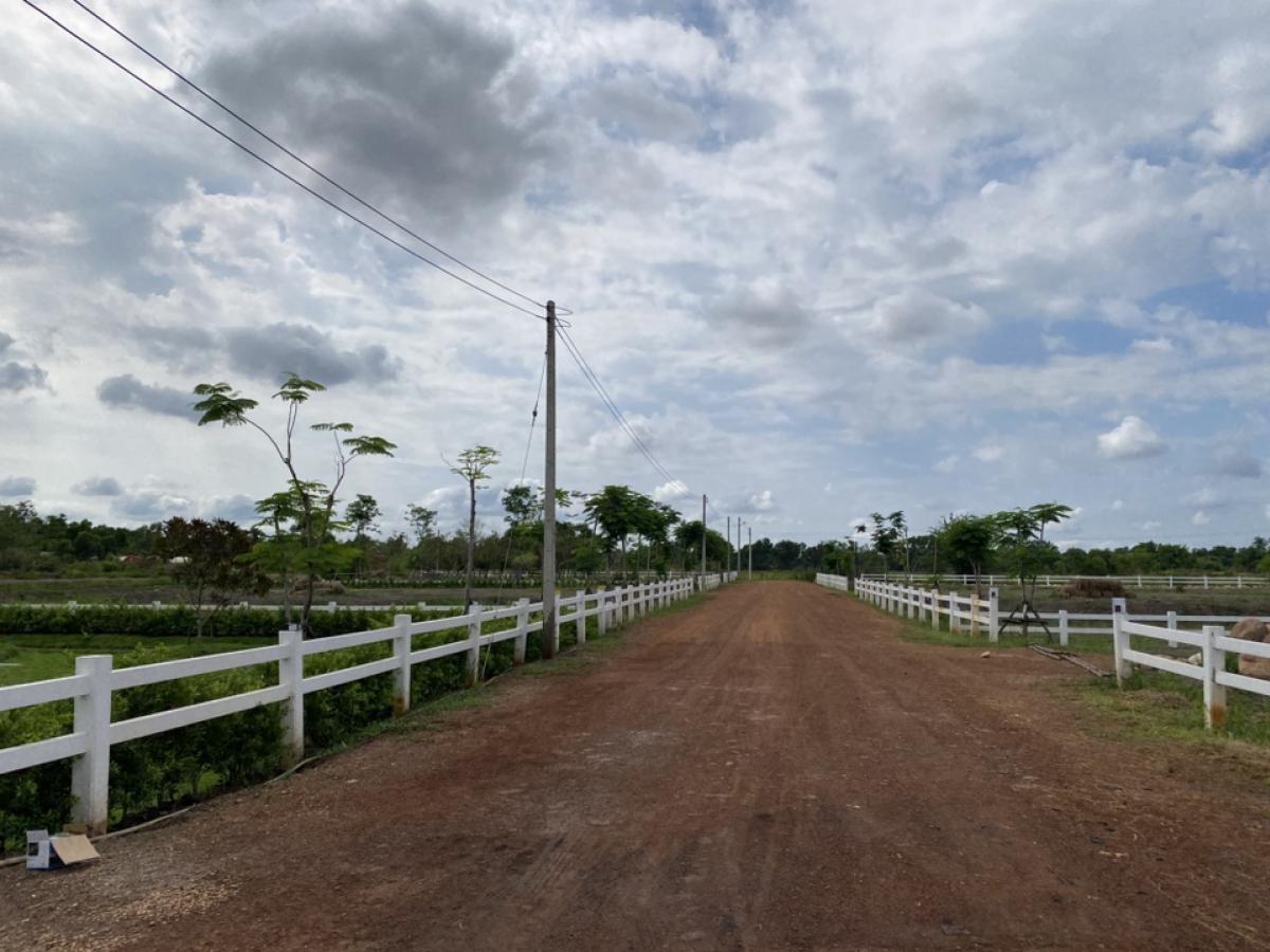 For SaleLandNakhon Nayok : Nakhon Nayok Land