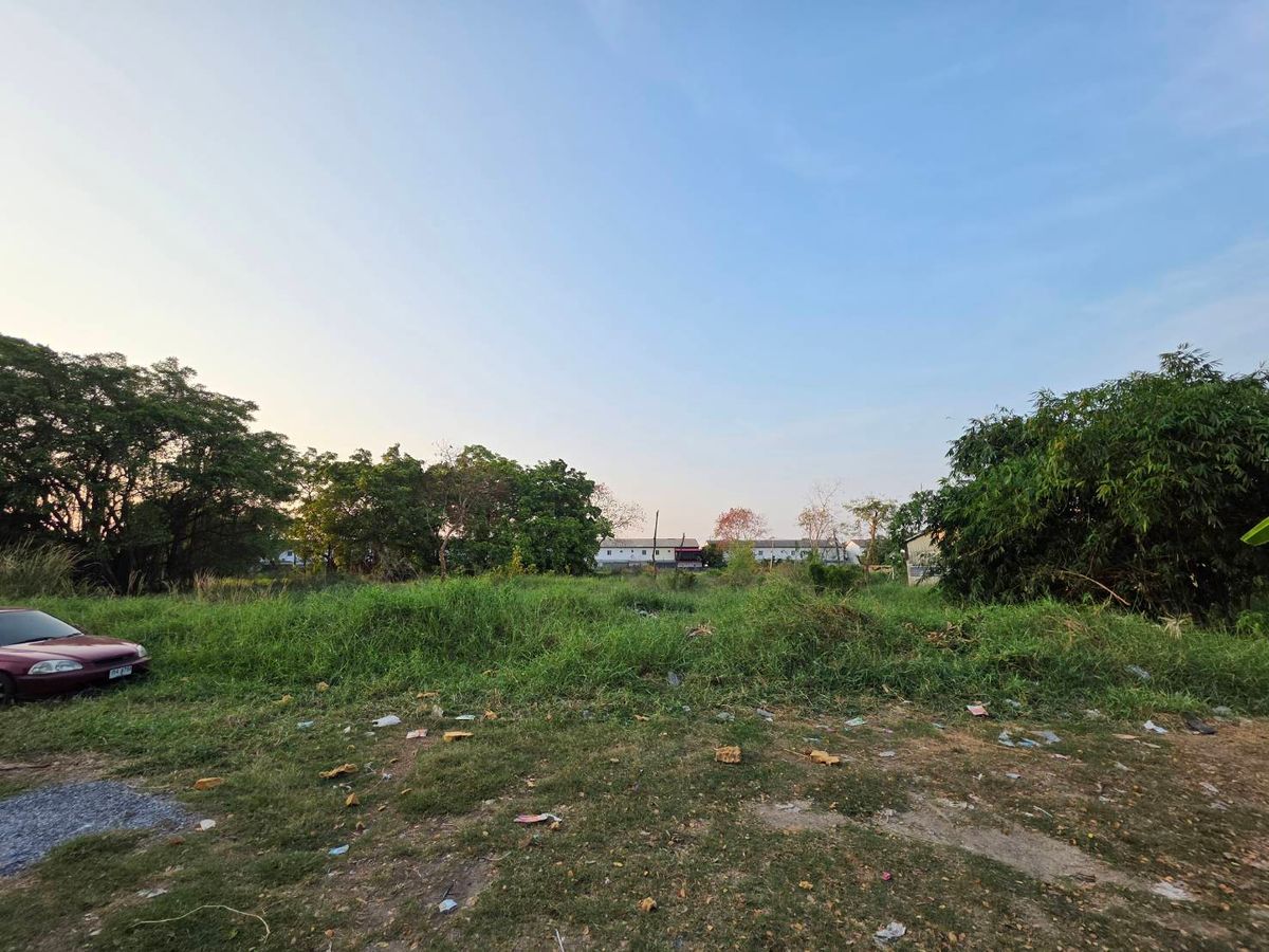 ขายที่ดินวิภาวดี ดอนเมือง หลักสี่ : ขาย ที่ดินเปล่า ซอยวัดเกาะ ซอยพหลโยธิน 54/1 แยก 6-5 เพิ่มสิน ห่างจากวัดเกาะ 300 ม. 11,000/ตรว. เขตสายไหม กทม.