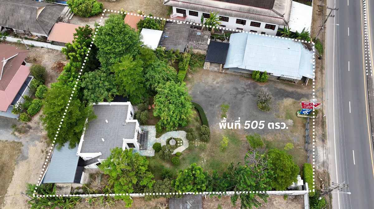 ขายที่ดินเชียงใหม่ : ขายที่ดิน ติดถนนหลัก เชียงใหม่ แม่ริม แม่แตง
