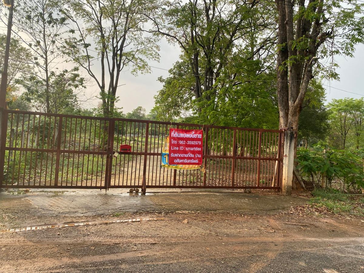 For SaleLandPak Chong KhaoYai : Selling cheap land, Khao Yai, near 2 kilometers of ponds, 300 meters from the village.