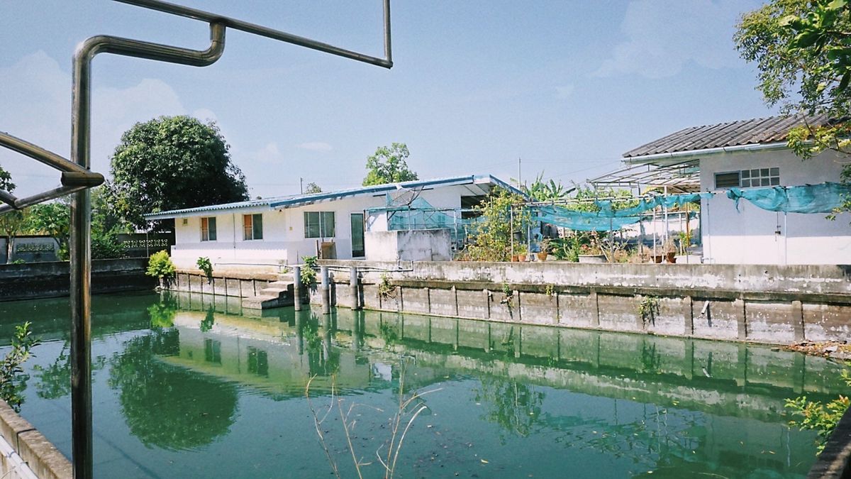 ขายบ้านปทุมธานี รังสิต ธรรมศาสตร์ : ขายด่วน! บ้านสวน 2 ไร่ ลำลูกกา คลองสิบ ใกล้กรุงเทพฯ ซื้อมาทำบ้านพักตากอากาศ แต่ไม่มีเวลาไปอยู่ แปลงสวย บรรยากาศรีสอร์ต ที่ดินหน้ากว้าง เหมาะทำบ้านสวน โฮมสเตย์ คาเฟ่ หรือฟาร์มเกษตร โอกาสแบบนี้ไม่ได้มีบ่อย รีบจองก่อนหลุดมือ!