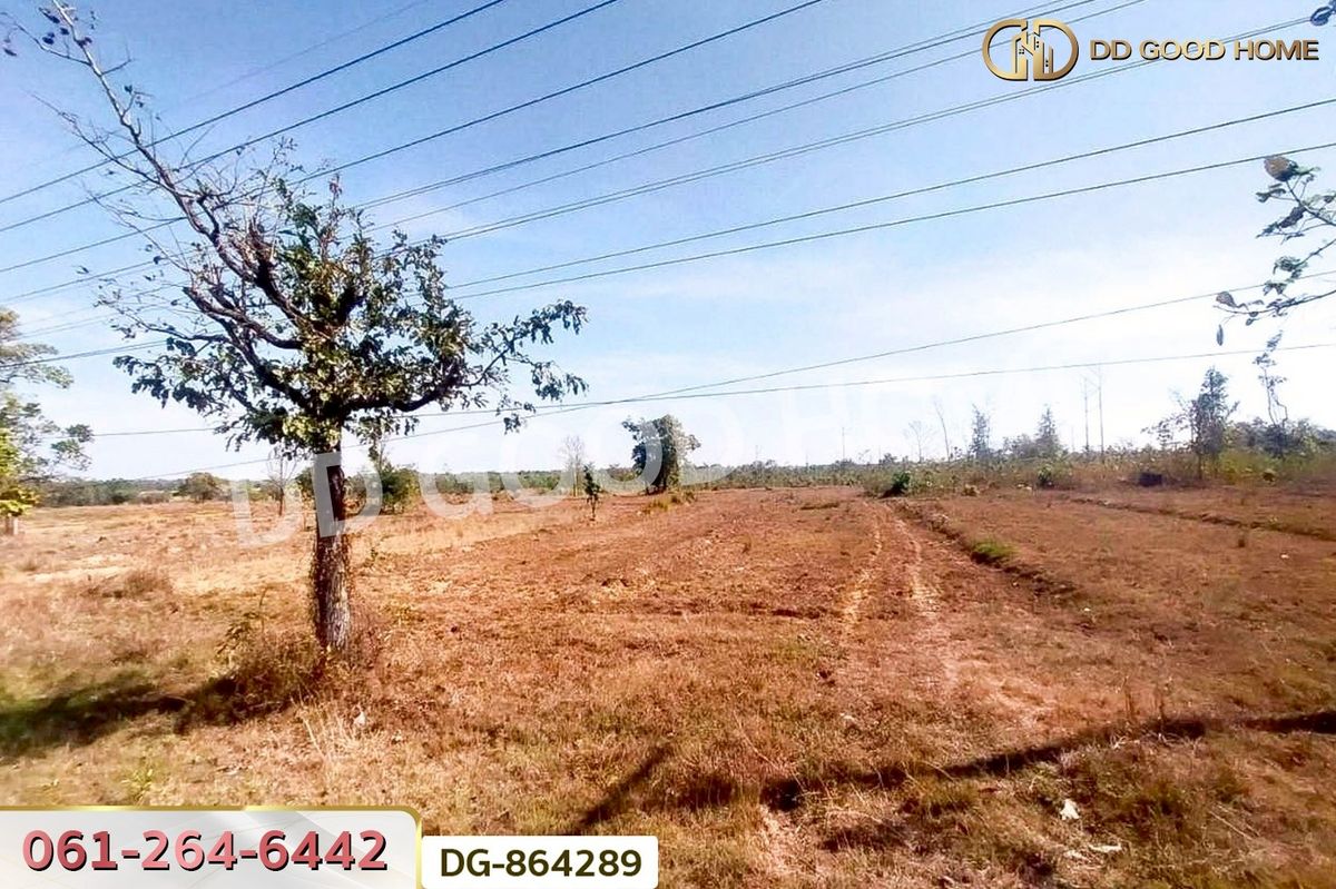 ขายที่ดินสกลนคร : LU-864289 ที่ดินพรรณานิคม 14 ไร่ 196 ตร.ว. สกลนคร ใกล้วัดป่าแสนสุข