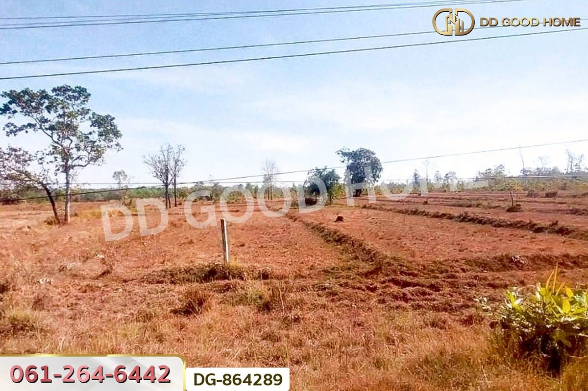 ขายที่ดินสกลนคร : LU-864289 ที่ดินพรรณานิคม 14 ไร่ 196 ตร.ว. สกลนคร ใกล้วัดป่าแสนสุข