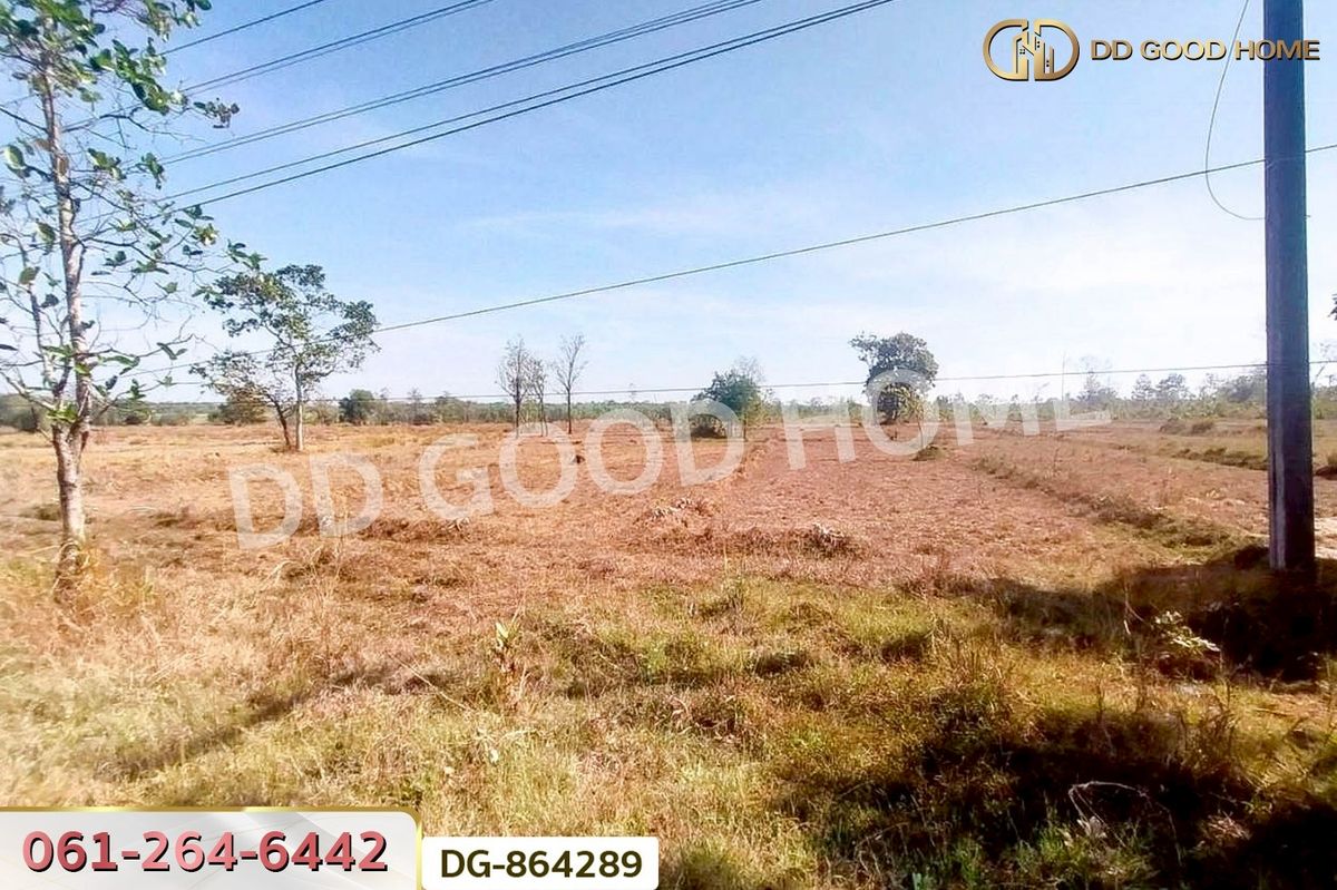 ขายที่ดินสกลนคร : LU-864289 ที่ดินพรรณานิคม 14 ไร่ 196 ตร.ว. สกลนคร ใกล้วัดป่าแสนสุข