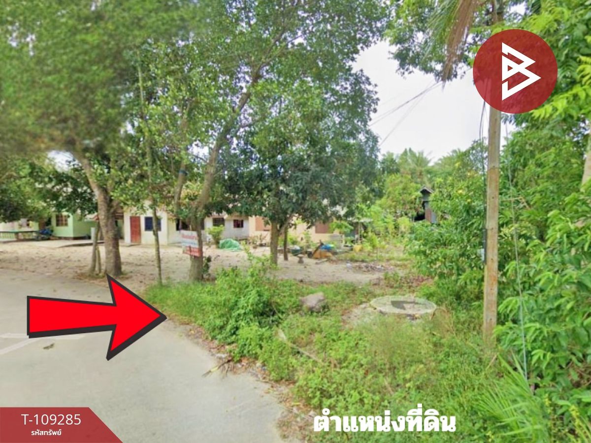 ขายที่ดินนครศรีธรรมราช : ขายที่ดิน เนื้อที่ 58.8 ตารางวา ปากพูน นครศรีธรรมราช