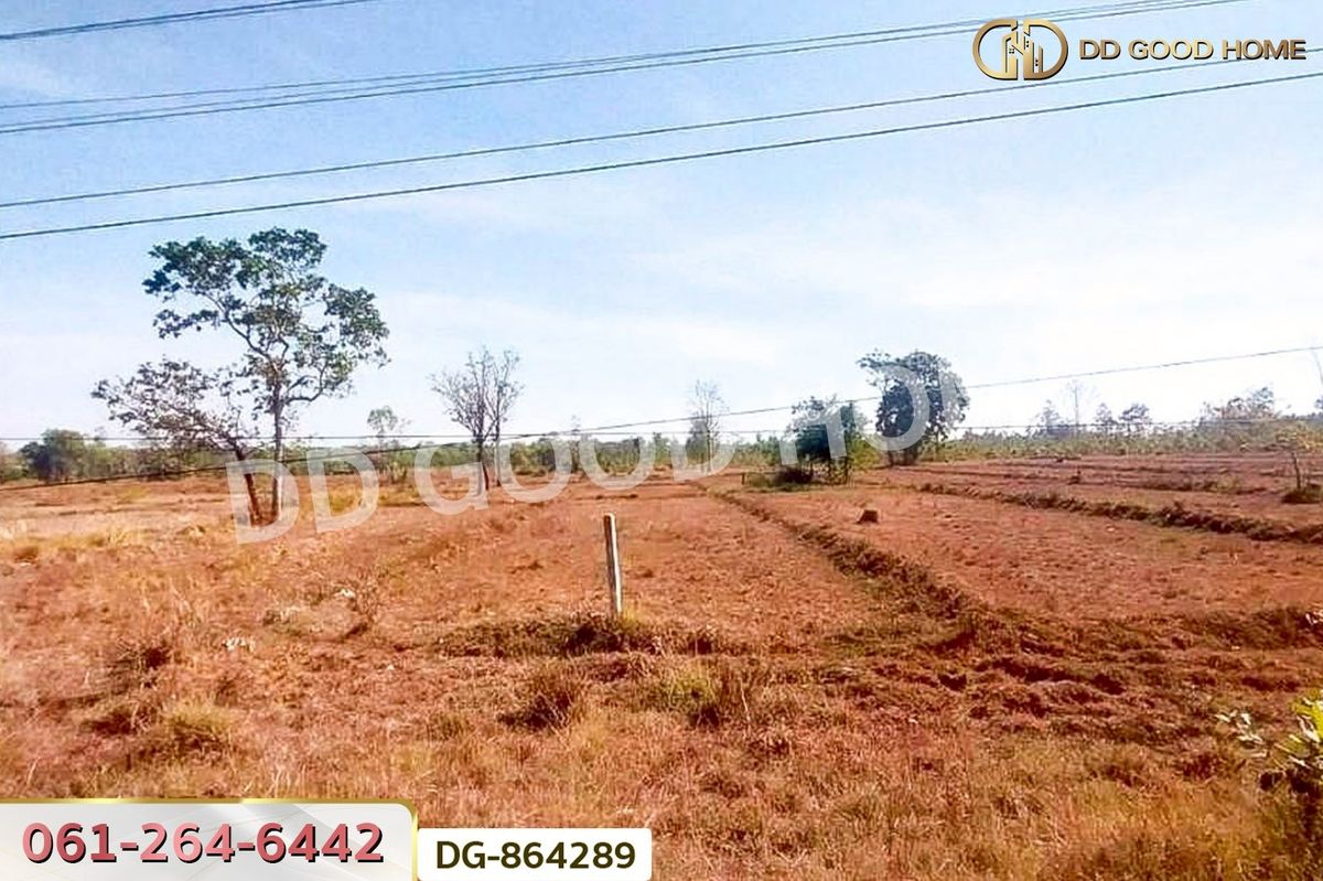 ขายที่ดินสกลนคร : LU-864289 ที่ดินพรรณานิคม 14 ไร่ 196 ตร.ว. สกลนคร ใกล้วัดป่าแสนสุข