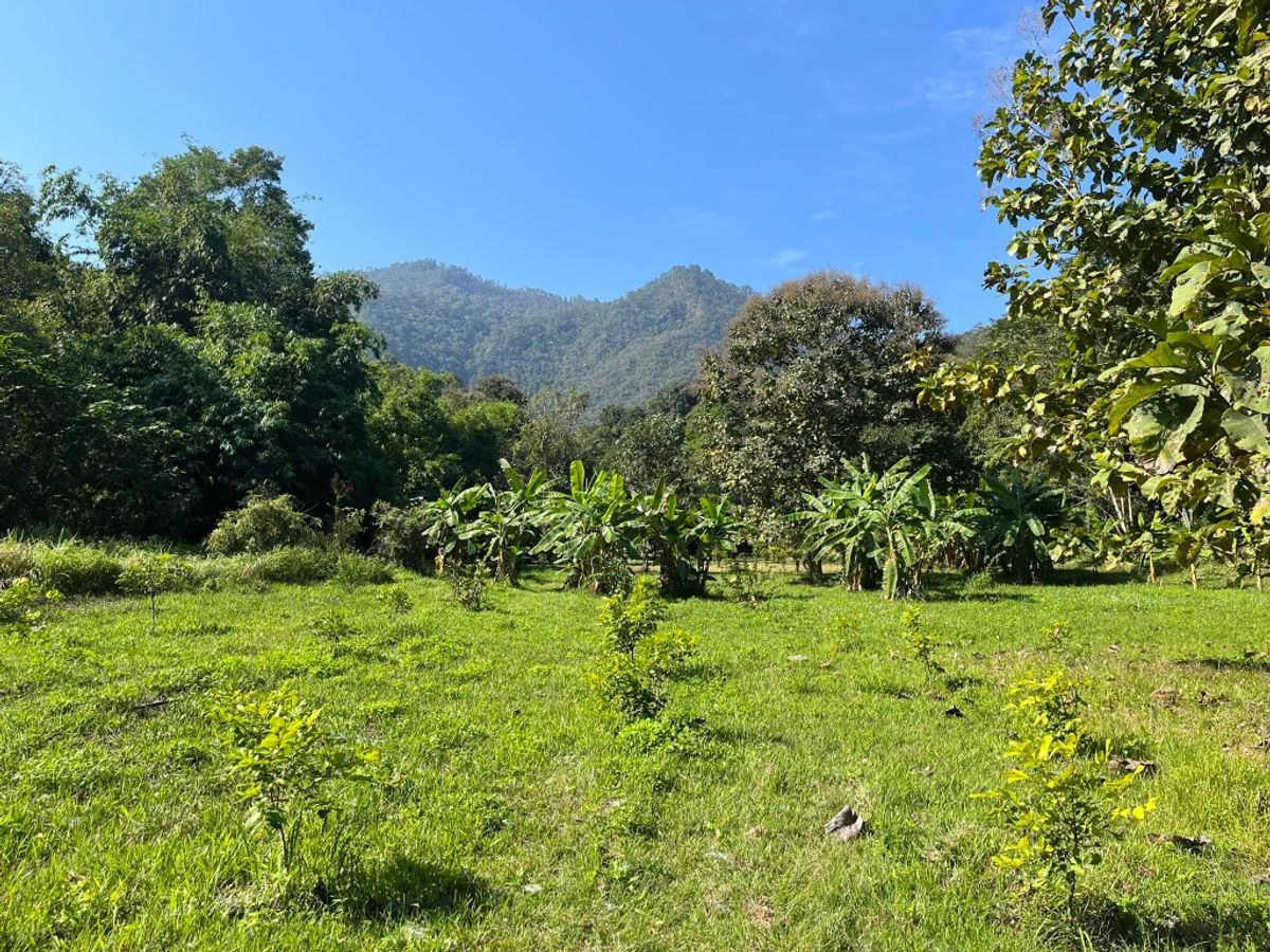 For SaleLandLampang : Selling very cheap !! Large plot of land 74-34 rai, good location, Muang Pan District, Lampang Province. Famous tourist attractions
