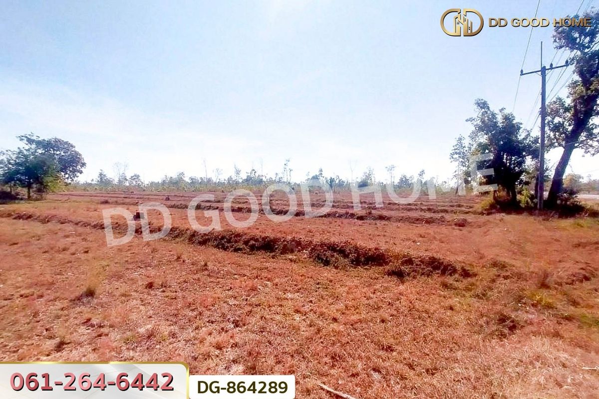 ขายที่ดินสกลนคร : LU-864289 ที่ดินพรรณานิคม 14 ไร่ 196 ตร.ว. สกลนคร ใกล้วัดป่าแสนสุข