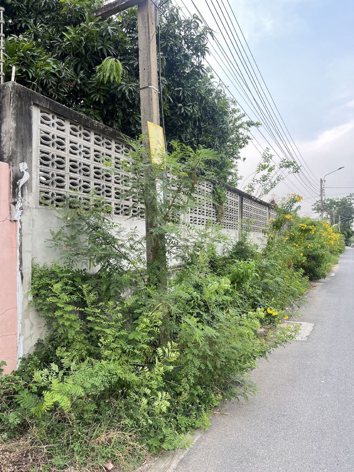 For SaleLandPhutthamonthon, Salaya : Land for sale, good location in Thawi Watthana Near the new bridge, four-Pranok