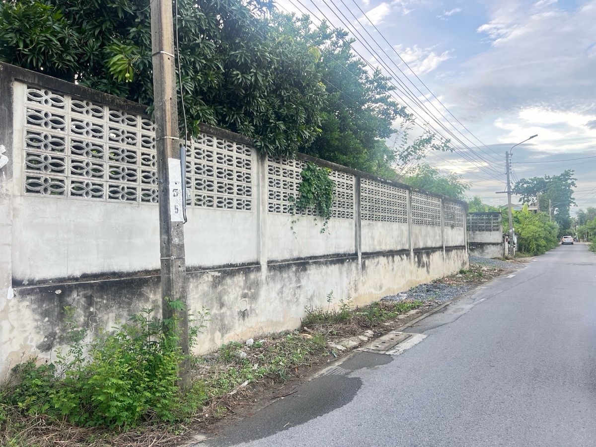 For SaleLandPhutthamonthon, Salaya : Land for sale, good location in Thawi Watthana Near the new bridge, four-Pranok