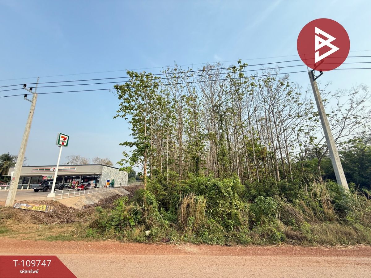 For SaleLandUttaradit : Land for sale in an area of ​​4 rai, 1 ngan 51 sq. Wong Tap, Uttaradit