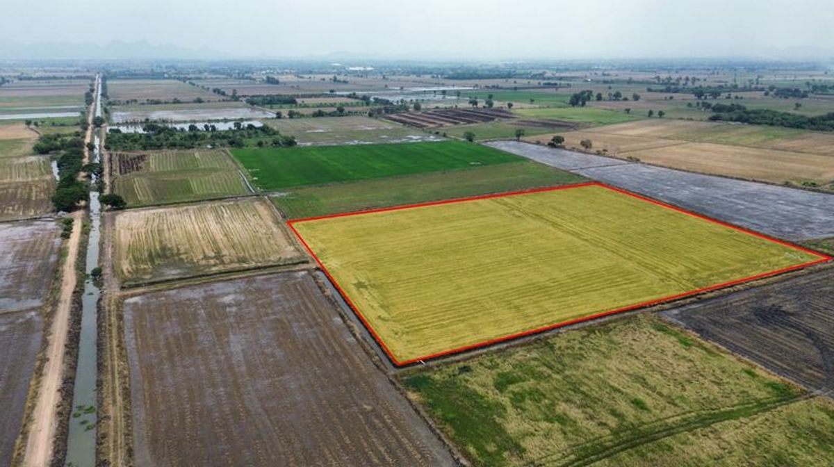 For SaleLandRatchaburi : Sold at 21-2-60 rai near the train station back to Don Pho Subdistrict, Mueang District, Lop Buri Province