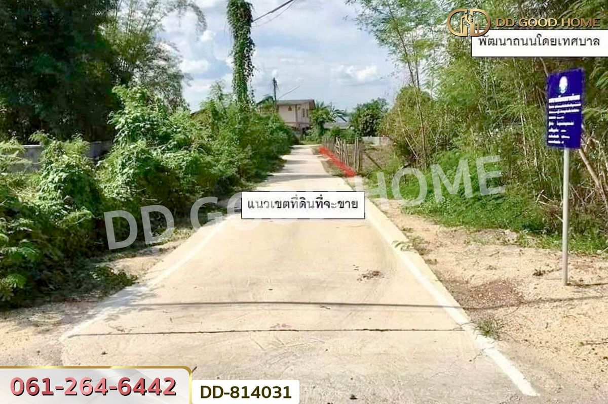ขายที่ดินลำปาง : DD-814031 ที่ดินชมพู 187 ตร.ว. ลำปาง ใกล้การไฟฟ้าส่วนภูมิภาคจังหวัดลำปาง
