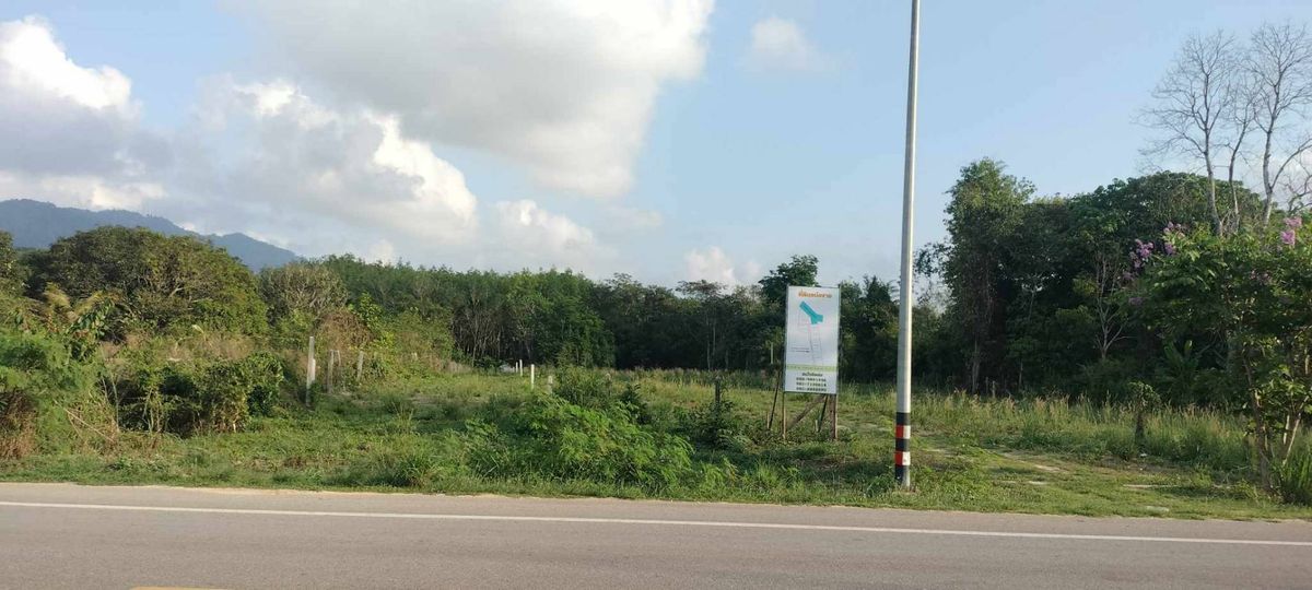 For SaleLandRayong : Selling very cheap !! The land is divided into the main road next to the public, good location, Muang District, Rayong Province, near the sea market.