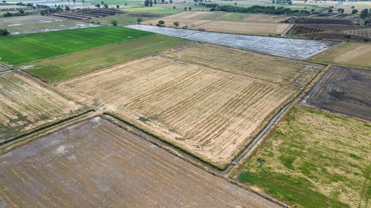 ขายที่ดินราชบุรี : ขายที่นา 21-2-60 ไร่ ใกล้สถานีรถไฟบ้านกลับ ตำบลดอนโพธิ์ อำเภอเมือง จังหวัดลพบุรี