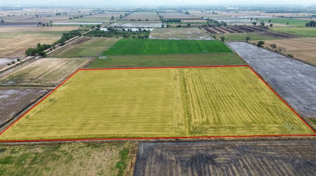 ขายที่ดินราชบุรี : ขายที่นา 21-2-60 ไร่ ใกล้สถานีรถไฟบ้านกลับ ตำบลดอนโพธิ์ อำเภอเมือง จังหวัดลพบุรี