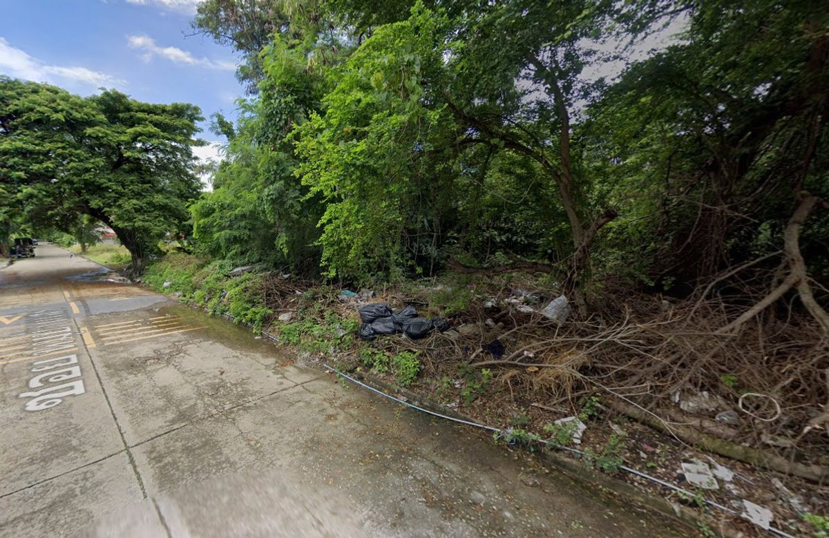 ขายที่ดินลาดกระบัง สุวรรณภูมิ : ที่ดิน 278 ตร.ว. ซอย ศรีนครินทร์ 55 / (ขาย), Land 278 sq m. Soi Srinakarin 55 / (SALE) FON084