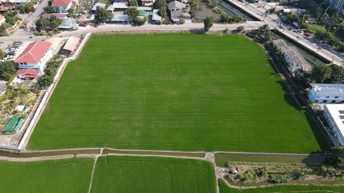 For SaleLandNonthaburi, Bang Yai, Bangbuathong : 📢 Beautiful Land with Wide Frontage on Main Road, Convenient Access via Multiple Routes