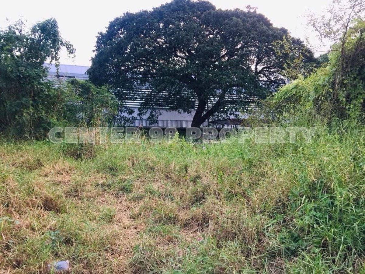 For SaleLandPattanakan, Srinakarin : Land for sale at Onnut 46