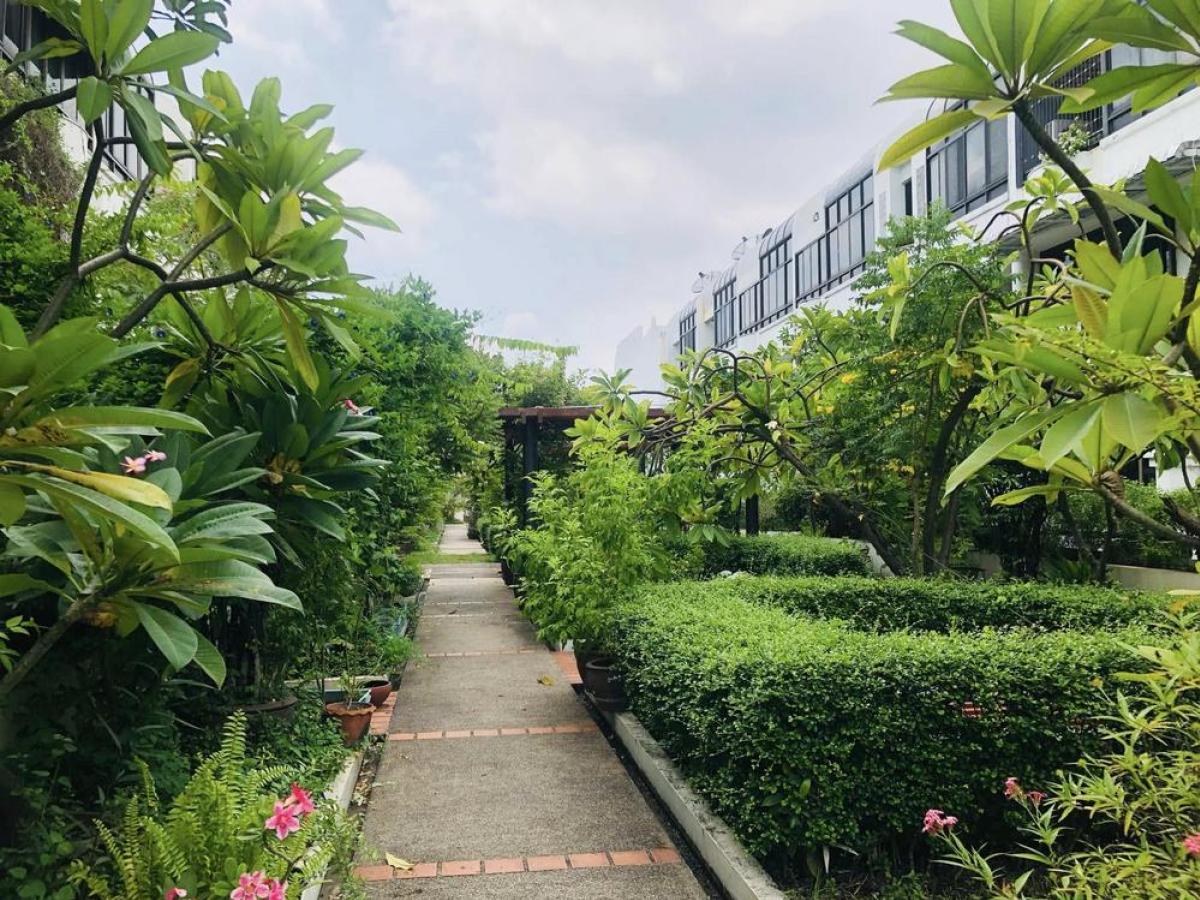 For RentTownhomeRama3 (Riverside),Satupadit : 🌿✨ 4 -story townhome rental, elegant garden view in the village of Garden House Rama 3 ✨🌿