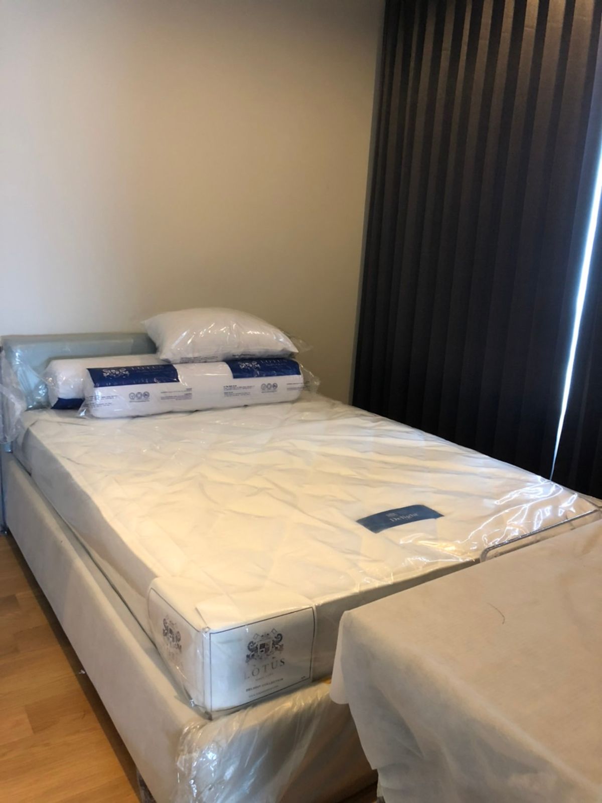 ให้เช่าคอนโดลาดพร้าว เซ็นทรัลลาดพร้าว : ✨ FOR RENT  :  M  Ladphao  Condo