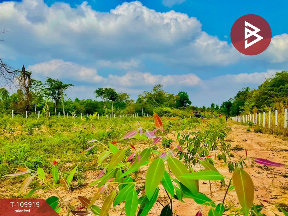 ขายที่ดินปราจีนบุรี : ขายที่ดิน เนื้อที่ 3 ไร่ กบินทร์บุรี ปราจีนบุรี