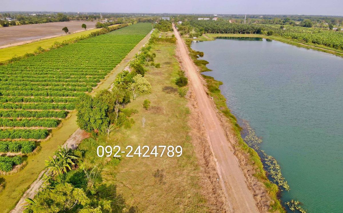 For SaleLandPathum Thani,Rangsit, Thammasat : 💦Urgent Land for Sale at Khlong 10, Nong Suea, Pathum Thani