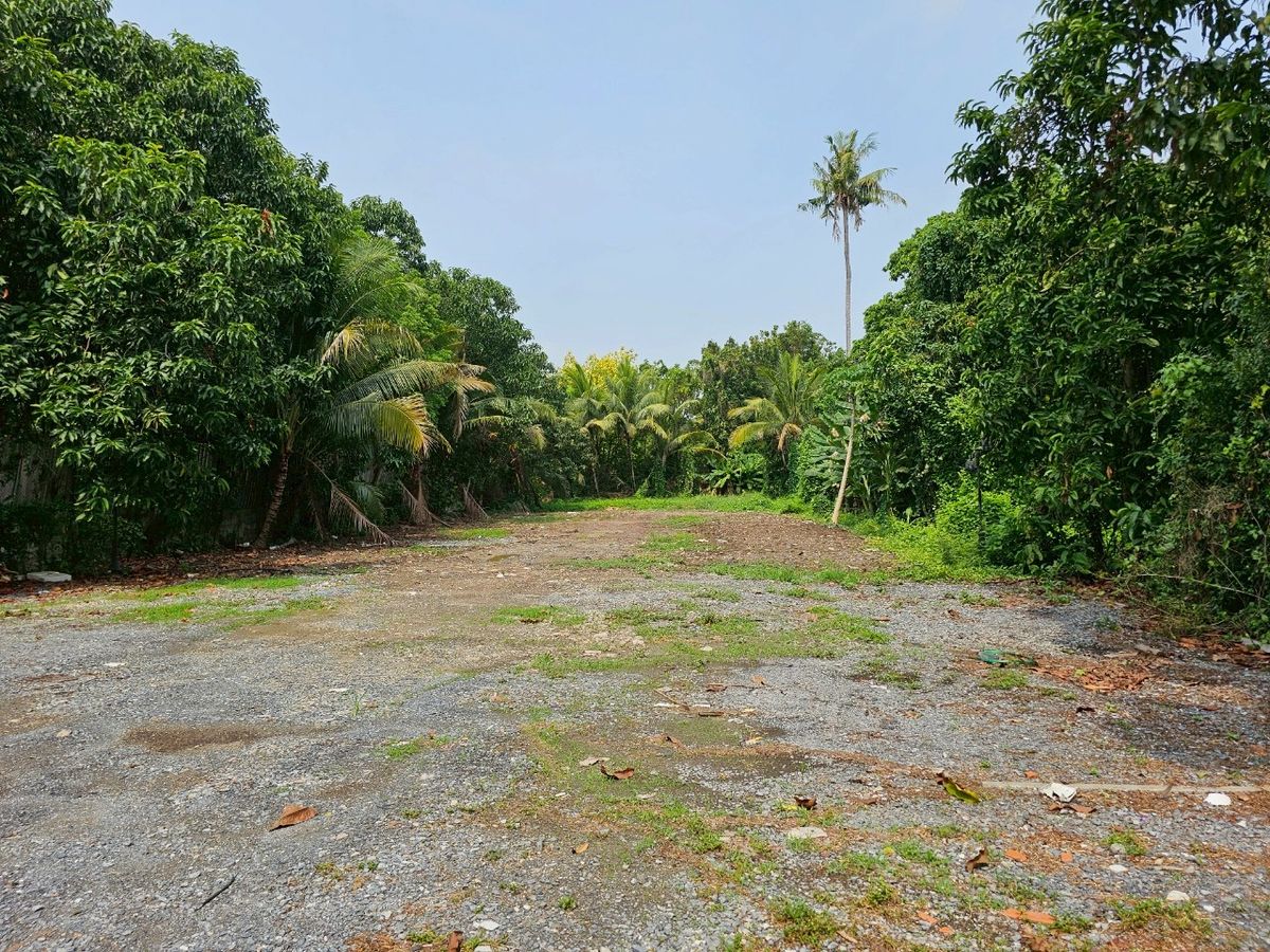 For SaleLandNonthaburi, Bang Yai, Bangbuathong : Beautiful plot of land for sale, good location near the River, Sai Ma Subdistrict, Nonthaburi Province, 1 rai 3 ngan 61 square wah  