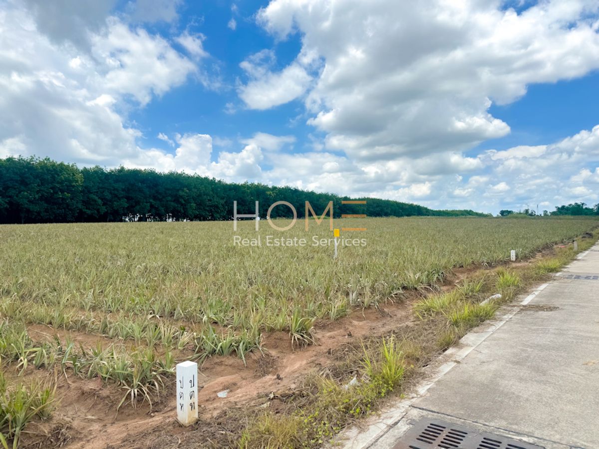 For SaleLandPattaya, Bangsaen, Chonburi : 9 rai of land, Khao Khan, Purple Chart, Purple / (Sell), Vacant Land 9 Rai Khao Khaansong Purple Zone / (For Sale) Newc525