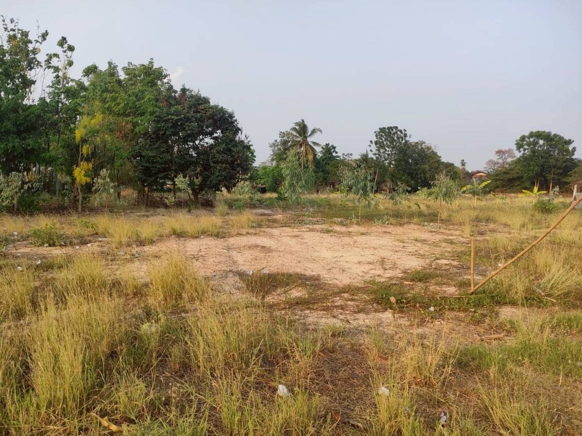 ขายที่ดินจันทบุรี : ขายที่ดินเปล่า อ.เมือง จ.จันทบุรี ติดถนนดำ ทำเลดี (N.1677)