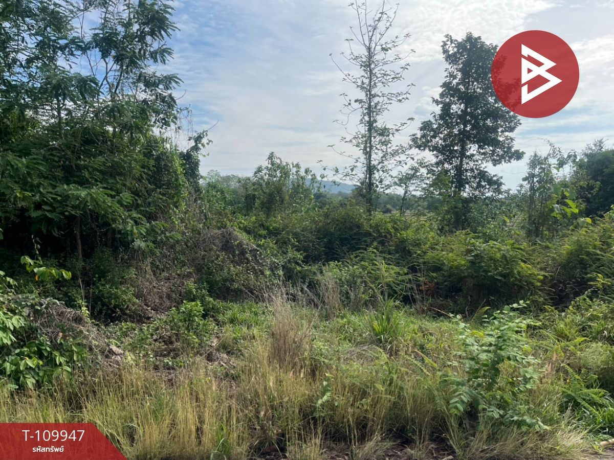 For SaleLandPhitsanulok : Land for sale in an area of ​​2 rai 13 square wah, Nakhon Thai District, Phitsanulok Province